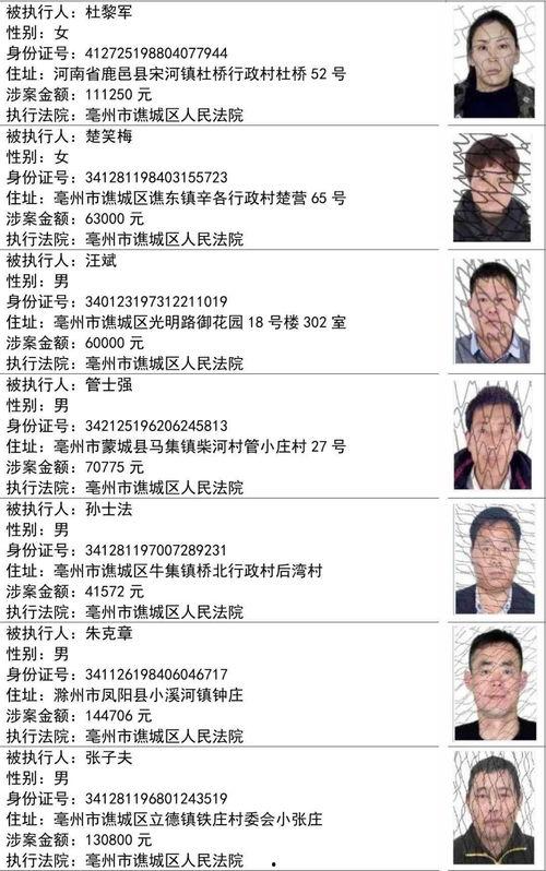 爆料四川观察人员名单最新,最新爆料揭示神秘阵容